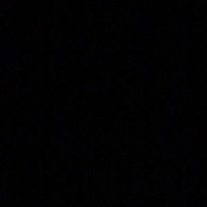 Meet your Posher, Rishaerdo